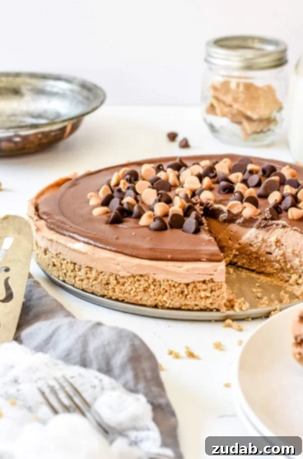 Easy No-Bake Peanut Butter Nutella Cheesecake is one of our favorite recipes for hosting friends and families and the perfect dessert for a BBQ! Easy No-Bake Peanut Butter Nutella Cheesecake is one of our favorite recipes for hosting friends and families and the perfect dessert for a BBQ!