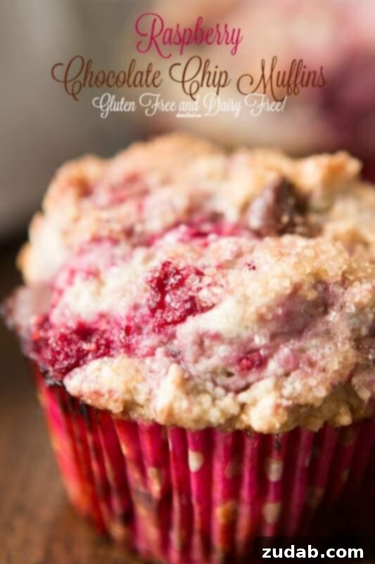 Moist Grain-Free Zucchini Muffins Sweetened with Brown Sugar 4 Delicious Gluten-Free and Dairy-Free Raspberry Chocolate Chip Muffins from Oh Sweet Basil, a perfect healthy breakfast choice.