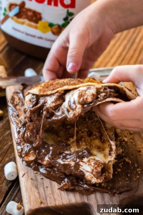 Freshly grilled s'mores dessert quesadilla, cut in half, revealing the warm Nutella and melted marshmallows.