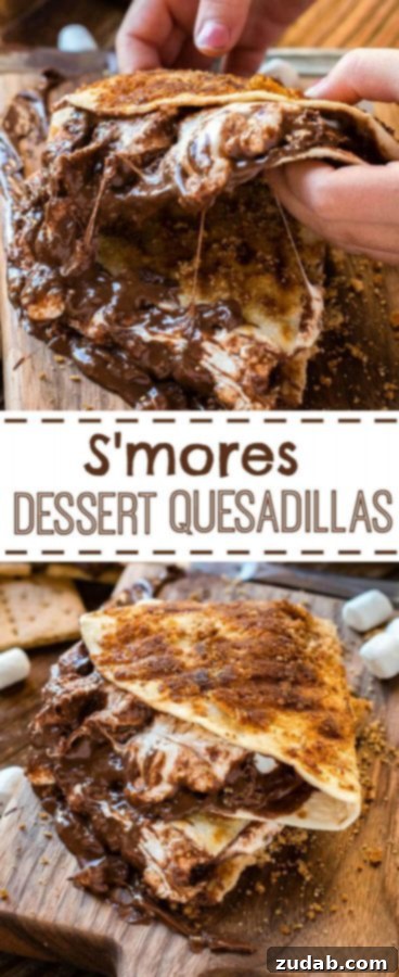 Finished grilled s'mores dessert quesadilla, cut into wedges, showing the rich filling and crunchy crust.