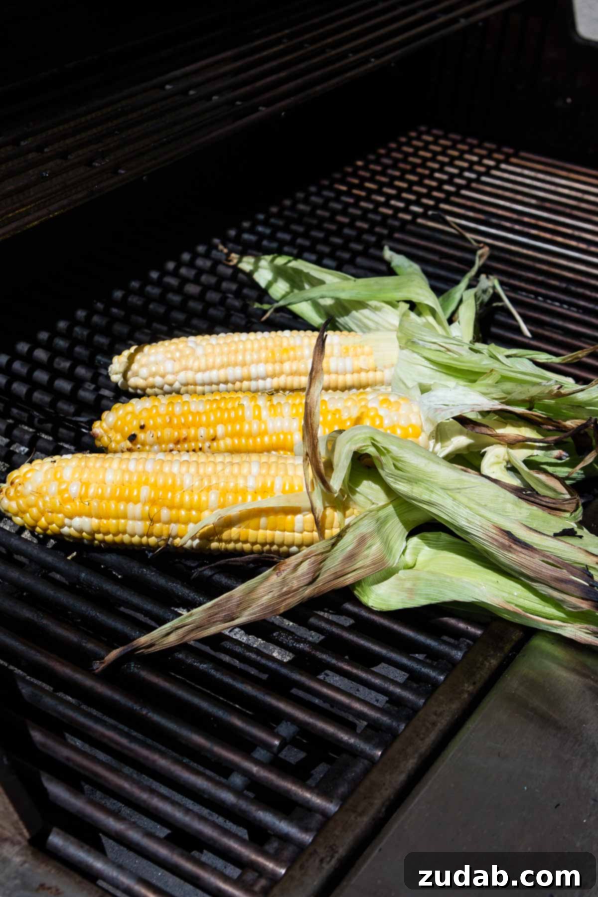 Achieve flawlessly grilled corn every time with these proven techniques. Close-up of grilled corn on the cob, showing the perfect char marks and glistening kernels.