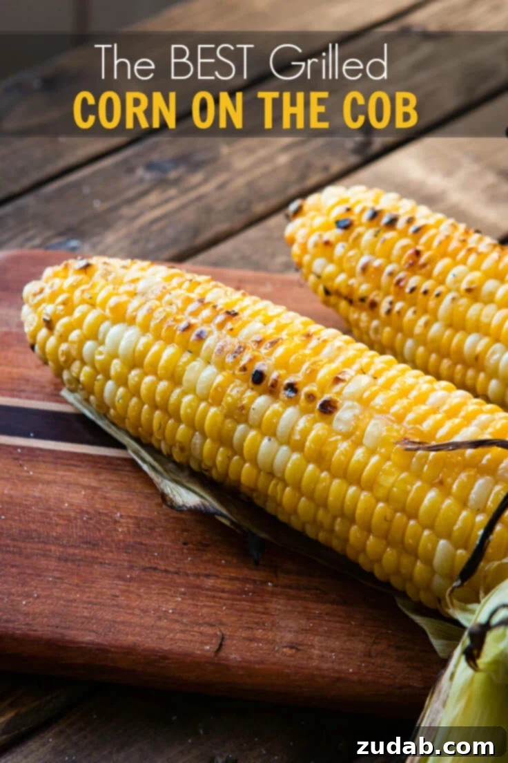Master the art of perfectly grilled corn with these expert techniques. The ultimate guide to grilling corn on the cob, featuring tips for selection, preparation, and delicious seasoning.