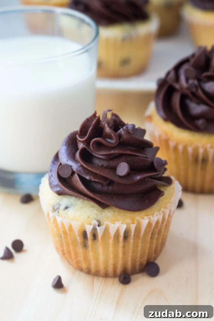 Double Chocolate Delight Cupcakes 2 Delicious vanilla chocolate chip cupcakes topped with swirls of creamy chocolate frosting, garnished with extra mini chocolate chips.