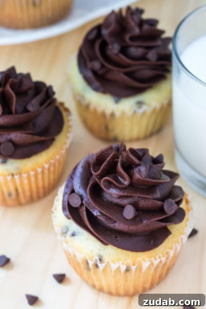 Double Chocolate Delight Cupcakes 3 Fluffy vanilla chocolate chip cupcakes adorned with a generous swirl of chocolate buttercream, ready to be enjoyed.