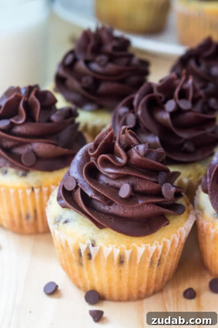 Double Chocolate Delight Cupcakes 4 Close-up of a freshly baked vanilla cupcake batter studded with mini chocolate chips, ready for the oven.