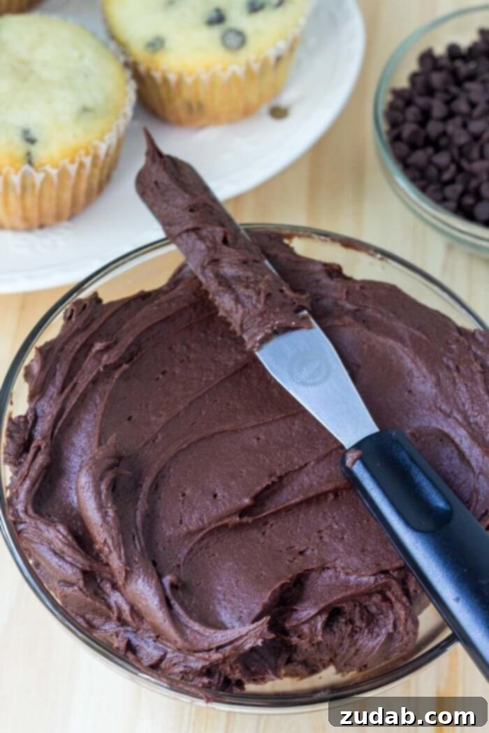 Double Chocolate Delight Cupcakes 5 Rich, dark chocolate frosting swirled on top of a vanilla chocolate chip cupcake.