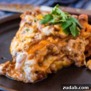 This is so good!!! One skillet enchilada casserole is loaded with saucy ground beef, gooey cheese and lots of flavor! It's our family's new favorite easy dinner recipe! ohsweetbasil.com