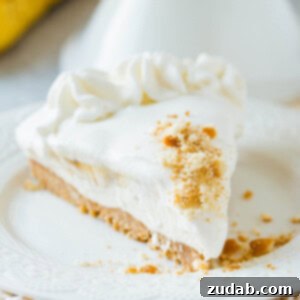 No bake banana pudding cheese on a sweet vanilla wafer crust and absolutely no oven involved. ohsweetbasil.com