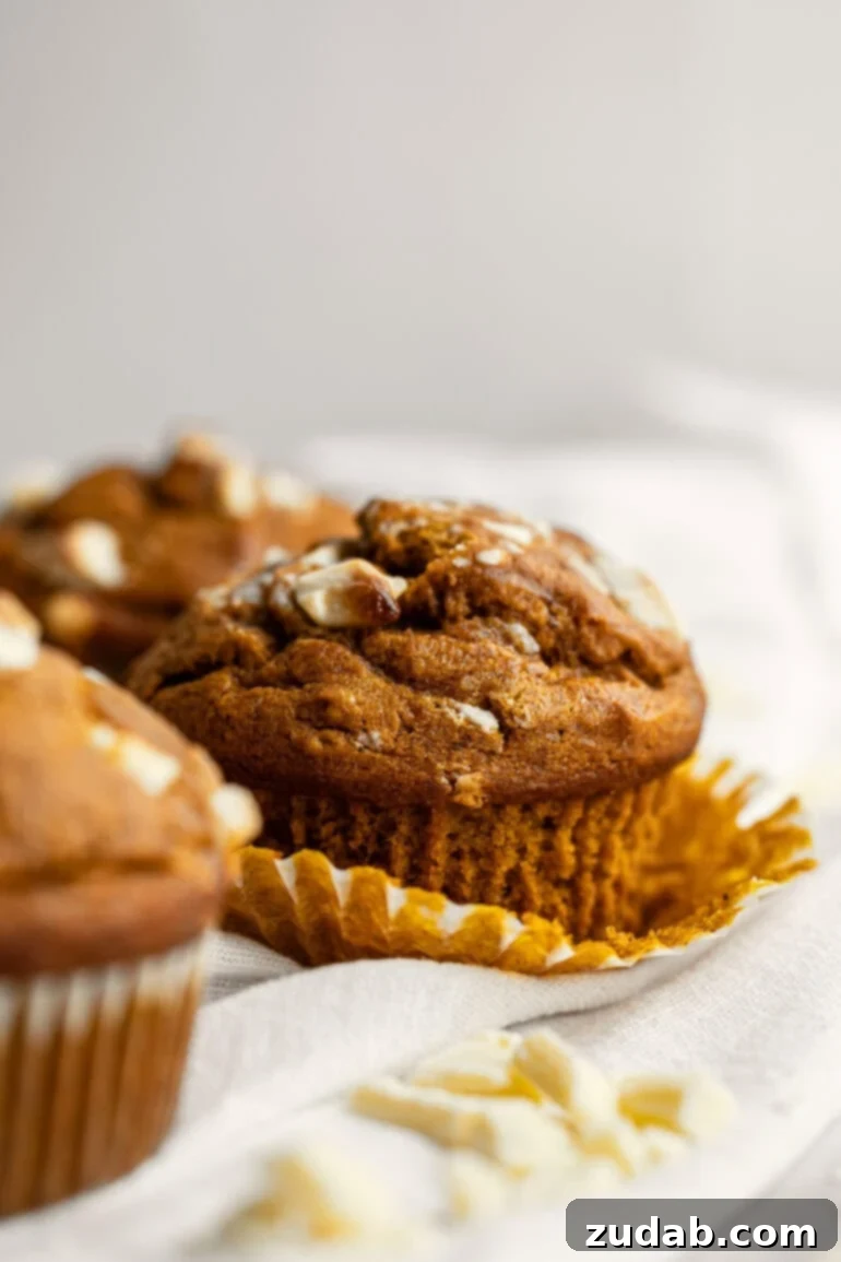 Heavenly White Chocolate Pumpkin Muffins 2 Freshly baked pumpkin muffins topped with melty white chocolate chips, arranged artfully.
