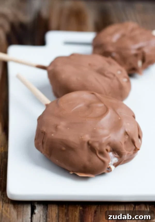 Decadent Milk Chocolate Chip Cookie Ice Cream Sandwich recipe