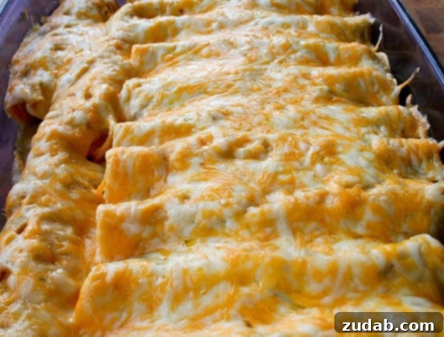 Smoky Carne Asada Enchiladas 6 Honey Lime Chicken Enchiladas-2