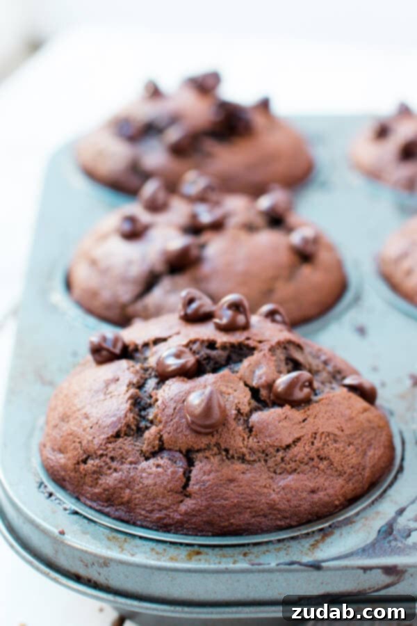 Sweet Strawberry Muffins 8 Rich double chocolate banana muffins, bursting with chocolate chips.