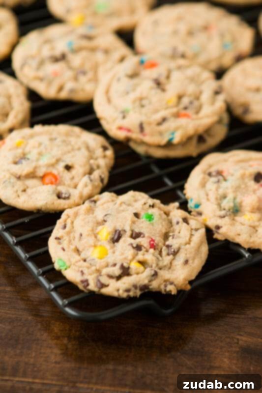 Velvety Peanut Butter M and M Cookies 3 The Ultimate Peanut Butter Chocolate Chip Oatmeal Cookies with M&M's