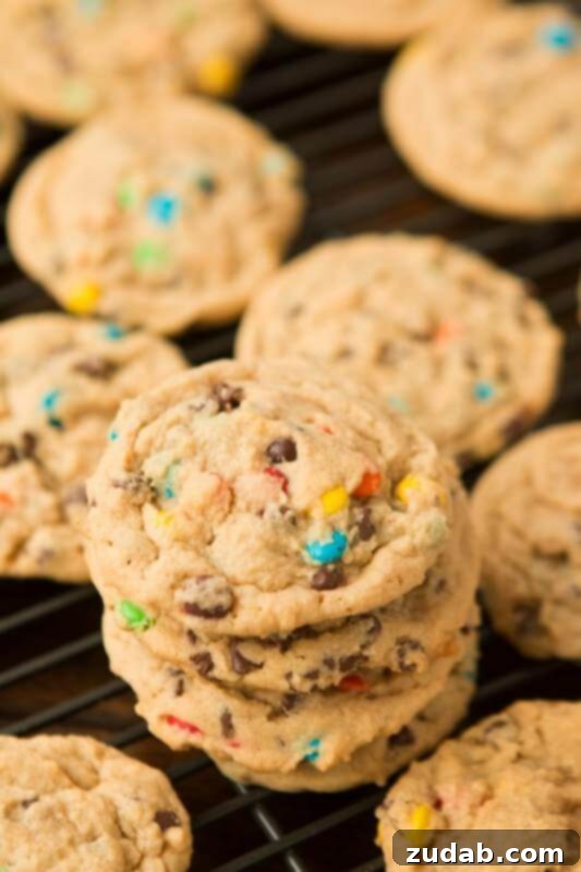 Velvety Peanut Butter M and M Cookies 6 Our most requested recipe for gatherings: Peanut Butter Chocolate Chip M&M Cookies from Oh Sweet Basil