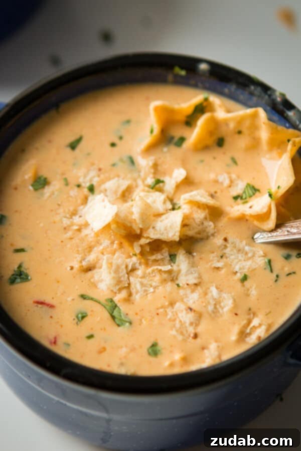 Cheesy Ground Beef Enchilada Chili 8 A steaming bowl of Cheesy Southwestern Chicken Tortilla Soup, garnished with a sprinkle of cheese and tortilla strips. This iconic soup recipe, affectionately called 'The Soup,' is a dream come true for soup lovers.