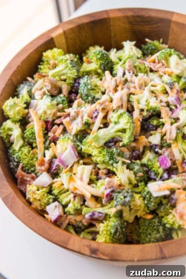 Everyone's favorite quick and easy side for our BEST broccoli salad recipe that's perfect for potlucks and BBQs. Plus it has bacon in it! golden raisins, craisins, sunflower seeds, bacon, frozen peas, red onion A large, rustic salad bowl filled with generous portions of homemade broccoli salad, brimming with crispy bacon bits and shredded cheese, ready to be enjoyed as a star side dish.