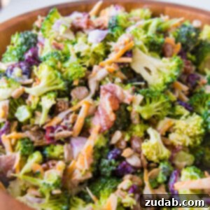 Your New Favorite Broccoli Salad 2 Everyone's favorite quick and easy broccoli salad recipe that's perfect for potlucks and BBQs. Plus, it has bacon in it!! ohsweetbasil.com
