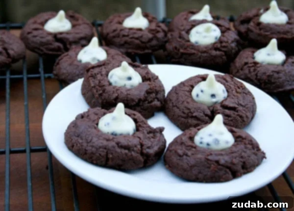 Cookies and Cream Blossoms 2 Delicious Cookies N Creme Blossoms ready to be enjoyed