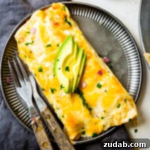 Sweet and Tangy Honey Lime Chicken Enchiladas 2 Honey Lime Chicken Enchiladas