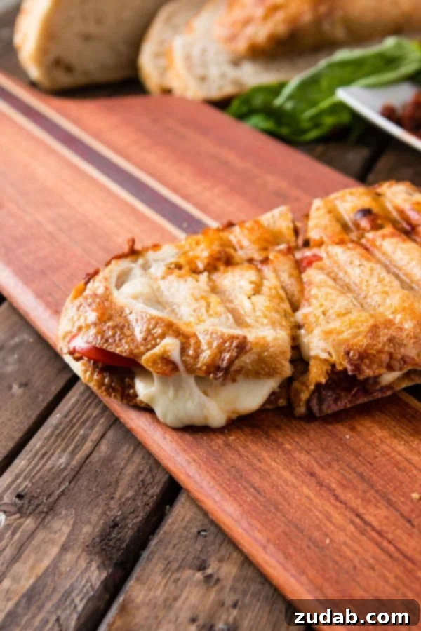 Sun-Dried Tomato Pesto Panini, your cure for mealtime boredom Gooey Sun-Dried Tomato Pesto Panini with melted mozzarella cheese on toasted bread