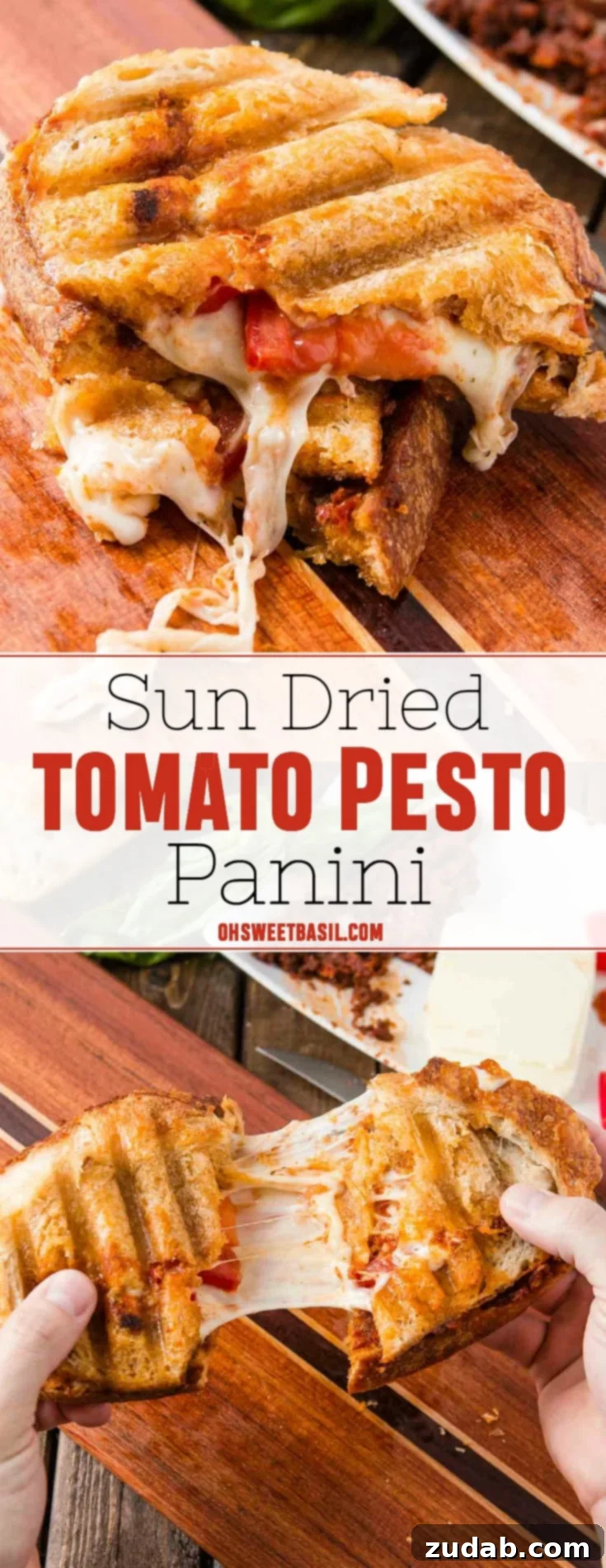 Gourmet Sun-Dried Tomato Pesto Panini 3 Two toasted slices of sourdough bread filled with melted mozzarella, roasted sun-dried tomatoes, and fresh pesto, cut in half and stacked