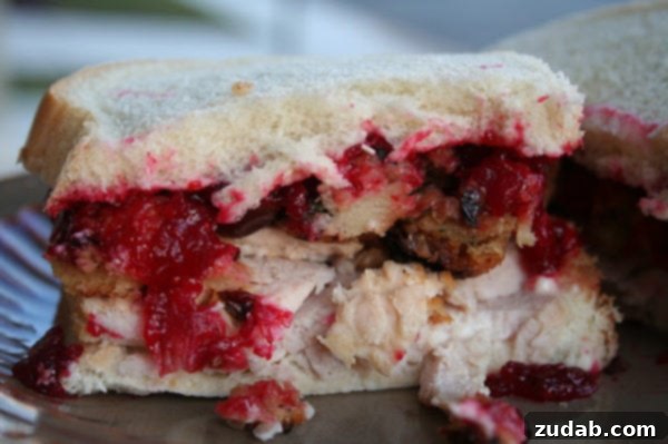 Thanksgiving Leftovers Reimagined 4 The ultimate Thanksgiving leftover sandwich, stacked high with turkey, stuffing, and cranberry sauce.