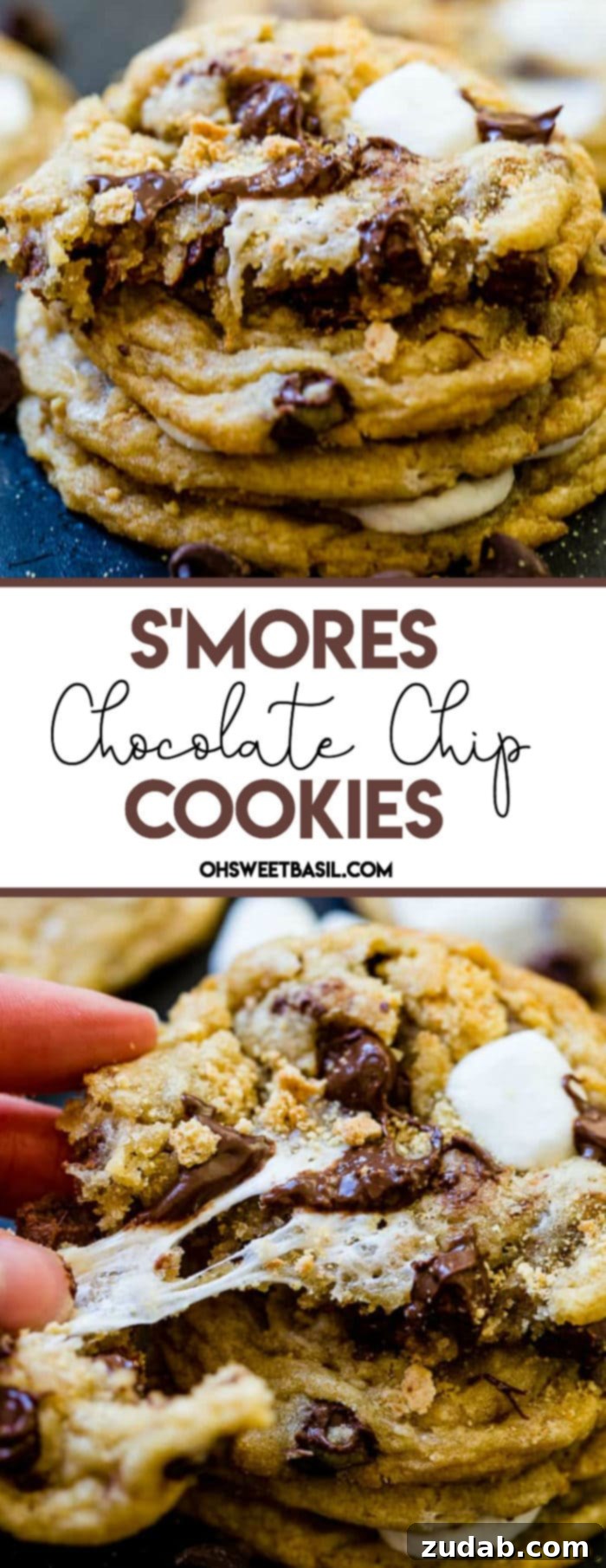 A large, inviting close-up of a stack of S'mores chocolate chip cookies, with visible melted chocolate and toasted marshmallow peeking out. The dark background makes the cookies pop.