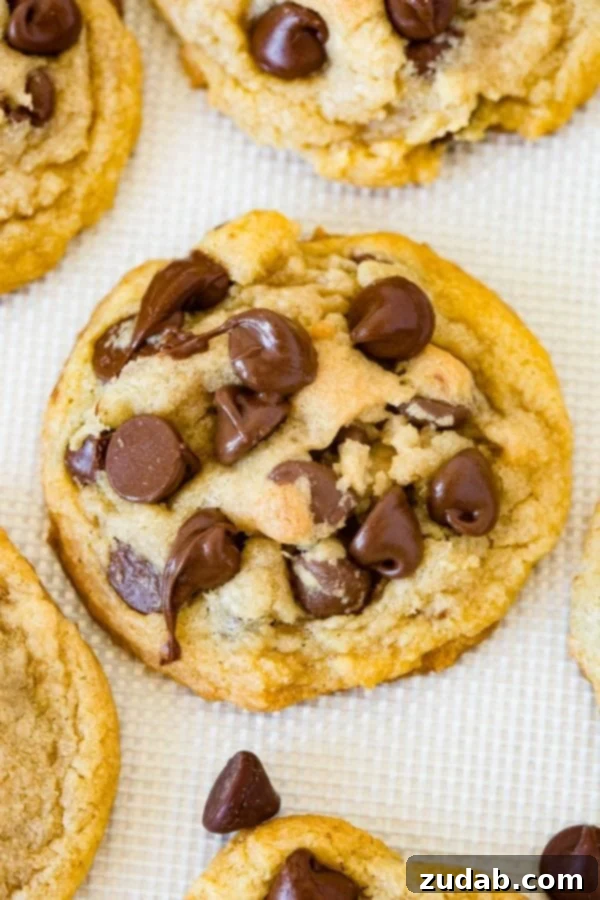 Irresistible Chocolate Chip Pudding Cookies A close-up photo of a decadent chocolate chip pudding cookie, richly studded with chocolate chips and featuring a golden-brown edge and soft center.