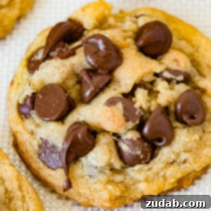 Velvet Chocolate Chip Cookies 3 A photo of a chocolate chip cookies covered in chocolate chips.
