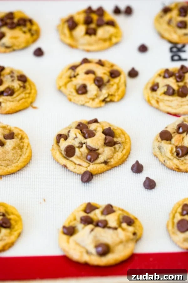 Warm Chocolate Chip Pudding Cookies A sheet pan generously filled with freshly baked, golden-brown chocolate chip pudding cookies, ready to be enjoyed.