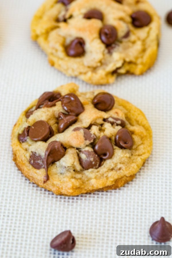 Velvet Chocolate Chip Cookies 2 A single, perfectly baked chocolate chip pudding cookie, generously covered in melted chocolate chips.