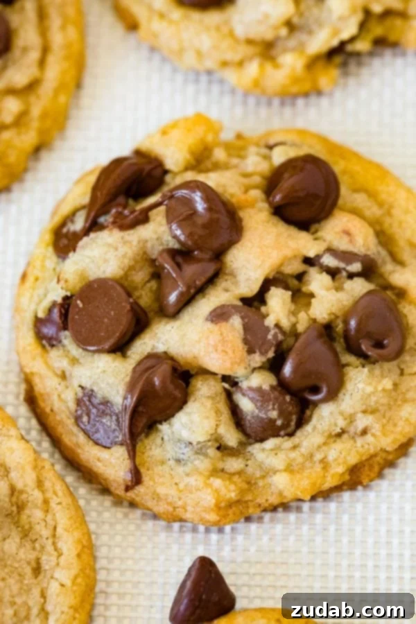 Gooey Pudding Cookie A perfectly baked, gooey chocolate chip pudding cookie, broken in half to reveal its soft, melted chocolate-filled interior.