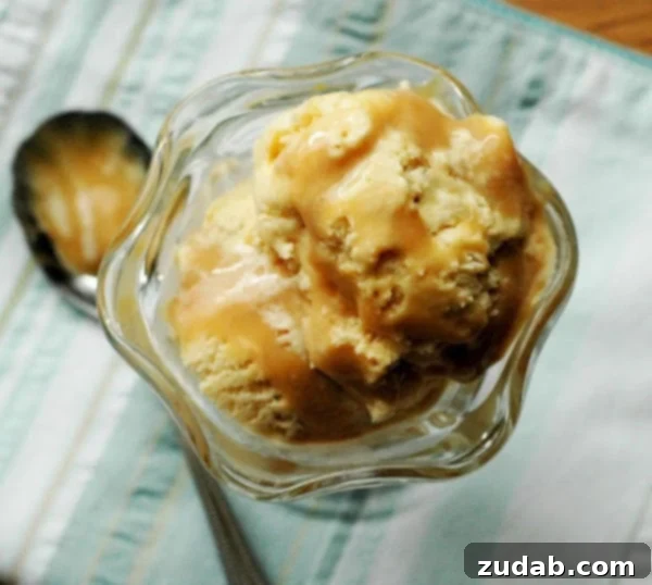Golden Caramel Bliss 2 Delicious, creamy dulce de leche ice cream in a bowl