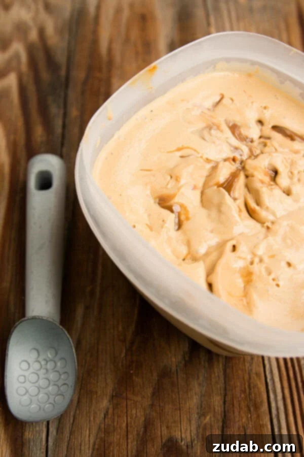 Golden Caramel Bliss 3 Homemade dulce de leche ice cream with a spoon