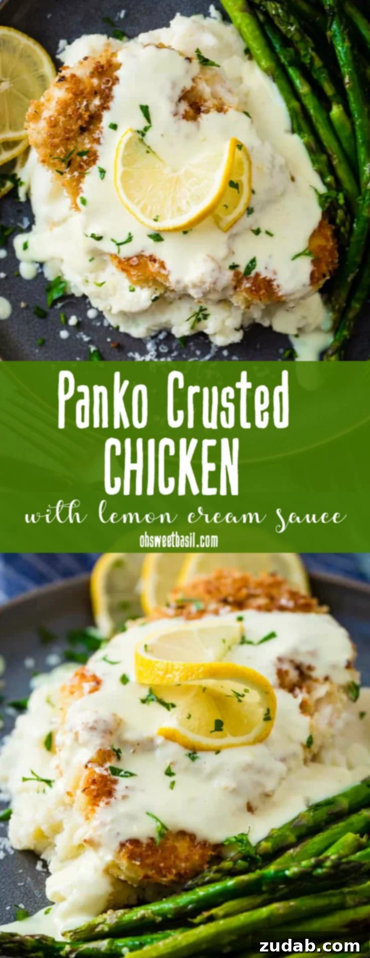 Golden Panko Chicken with Bright Lemon Cream 7 Panko Crusted Chicken with a Lemon Cream Sauce