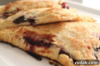 Father's Sweet Selections 2 Delicious Blackberry Hand Pies, golden brown crust filled with sweet blackberries