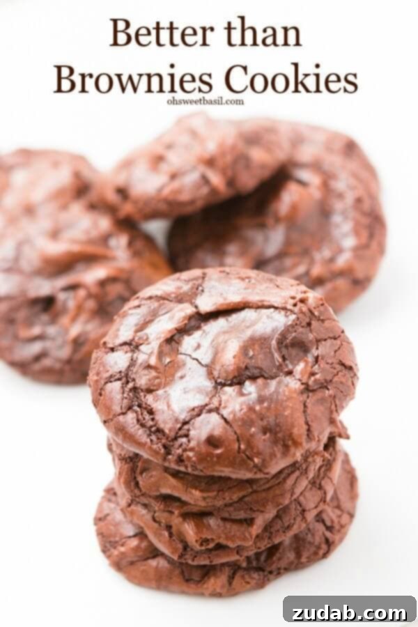 Fudgy, chewy, and rich chocolate cookies – a true dessert compromise from ohsweetbasil.com