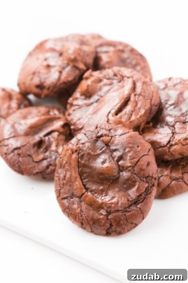 Soft, squishy, and chocolate-packed: these brownie cookies are a family favorite. Find the recipe at ohsweetbasil.com