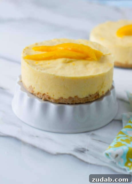 Sunshine Mango Cloud 5 Frozen Mango Dessert with Macadamia Nut Crust - An incredibly easy and refreshing frozen mango treat with a delicious, crunchy macadamia nut crust.