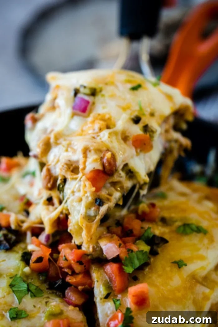 One-Pan Honey-Lime Chicken Enchilada Bake 2 Delicious one skillet honey lime chicken enchiladas casserole bubbling with cheese