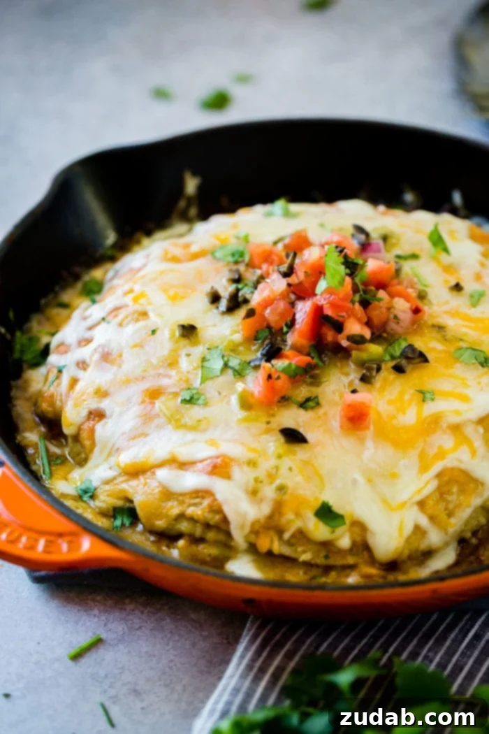 One-Pan Honey-Lime Chicken Enchilada Bake 3 Close-up of golden brown one skillet honey lime chicken enchiladas casserole
