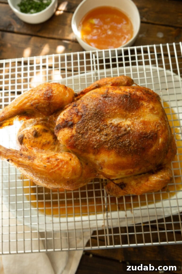 Irresistible Honey Roasted Chicken 5 A perfectly roasted whole chicken, boasting golden, seasoned skin, rests on a white cooling rack positioned over a baking dish designed to catch all the flavorful drippings.