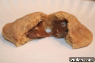 Decadent Chocolate Hazelnut Bliss 2 Delicious Chocolate Hazelnut Cookies ready to be enjoyed