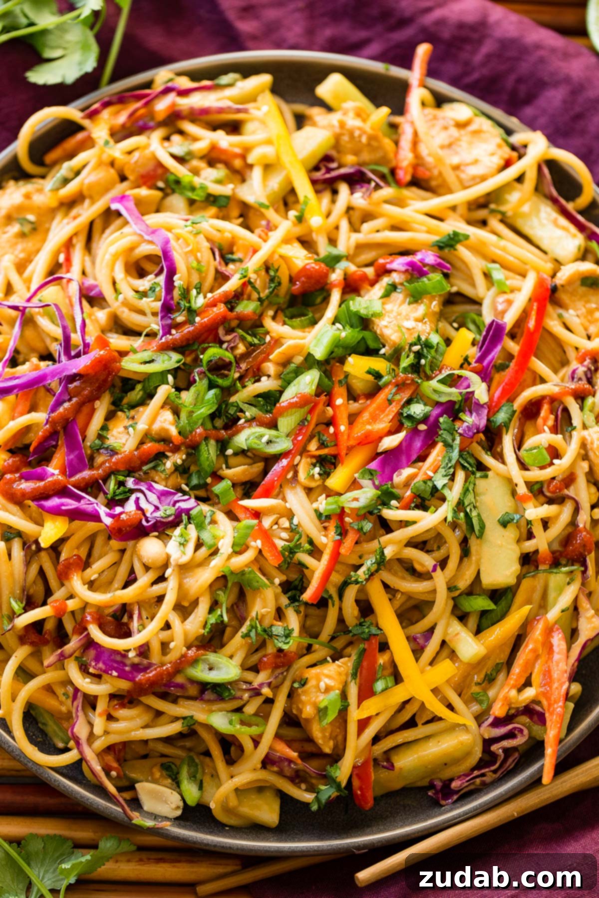 Thai Peanut Chicken Noodles 2 Delicious homemade Thai Peanut Noodles with tender chicken and creamy peanut sauce.