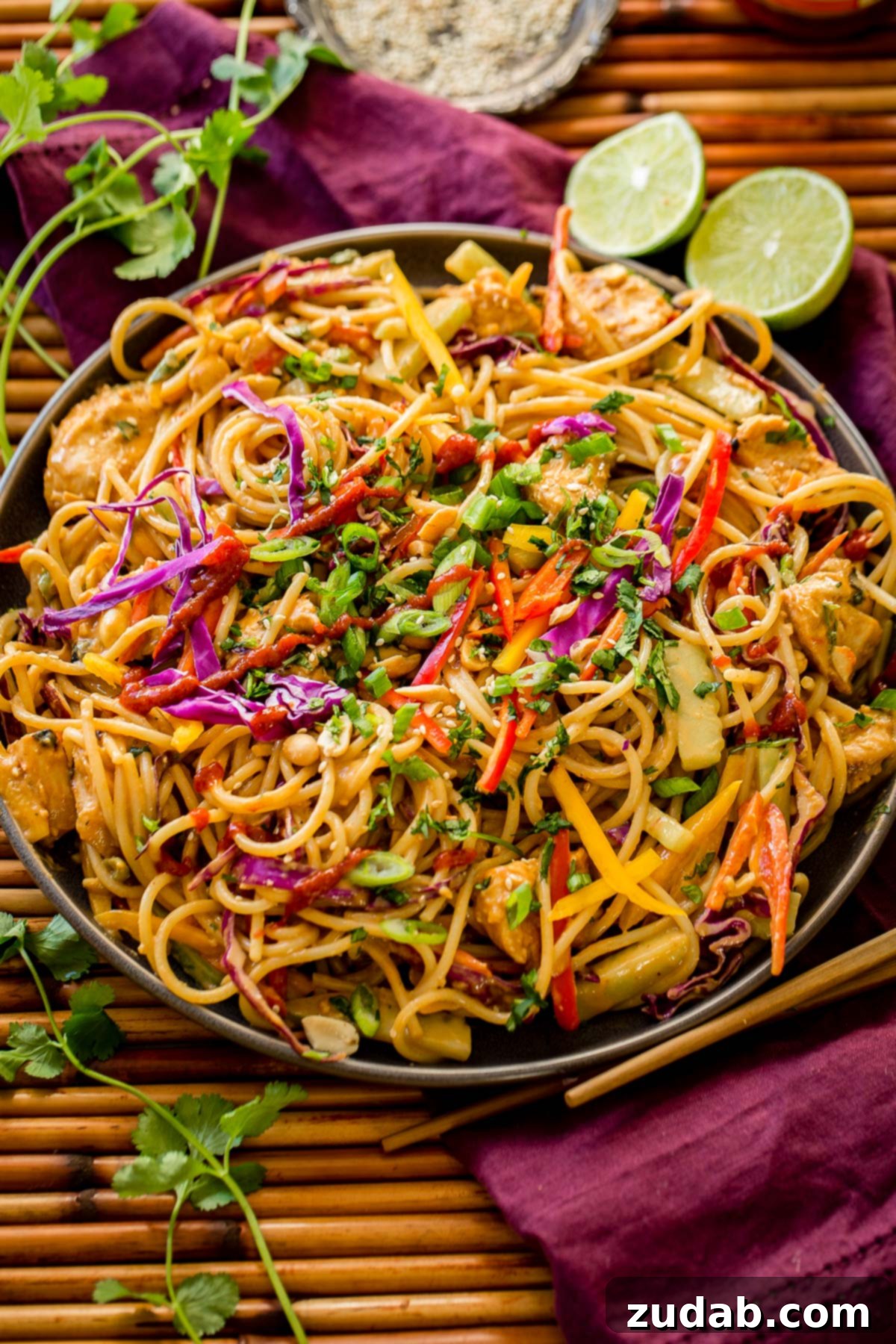 Thai Peanut Chicken Noodles 5 A vibrant bowl of Thai Peanut Noodles with Chicken, ready to be served.