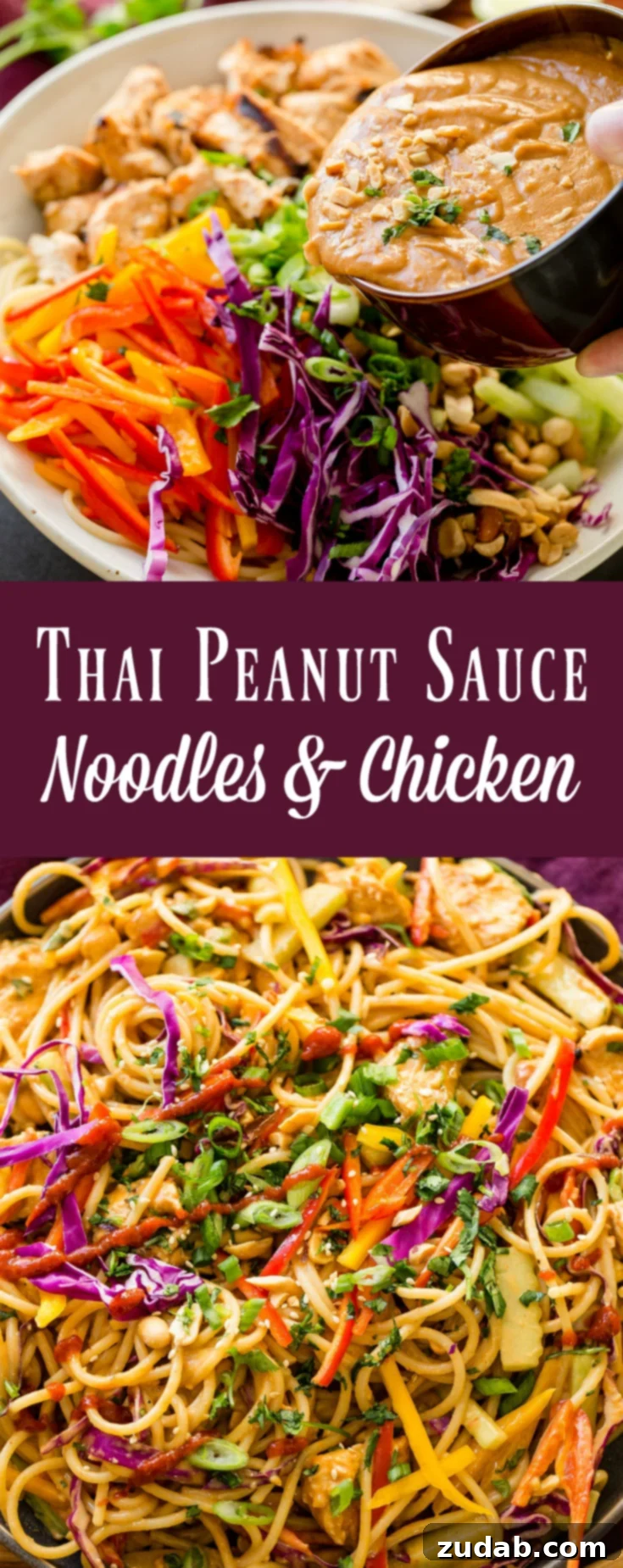 Thai Peanut Chicken Noodles 8 A final close-up of the delectable Thai Peanut Noodles with Chicken.