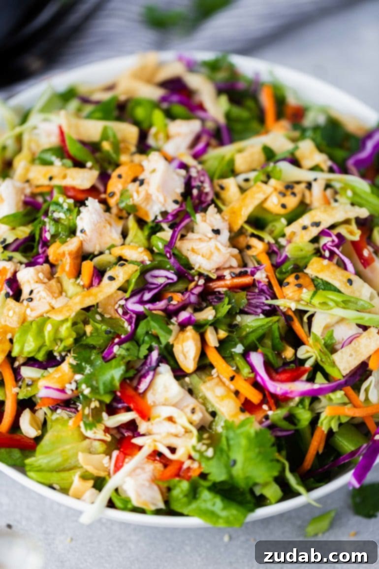 Crispy Wonton Chicken Salad 7 a closeup photo of a Chinese chicken salad topped with sesame seed dressing and fresh cilantro