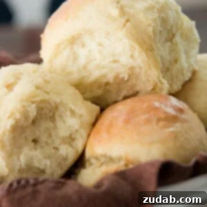 Easy One-Hour Rolls 2 Easy and quick, these one hour rolls are a favorite! ohsweetbasil.com