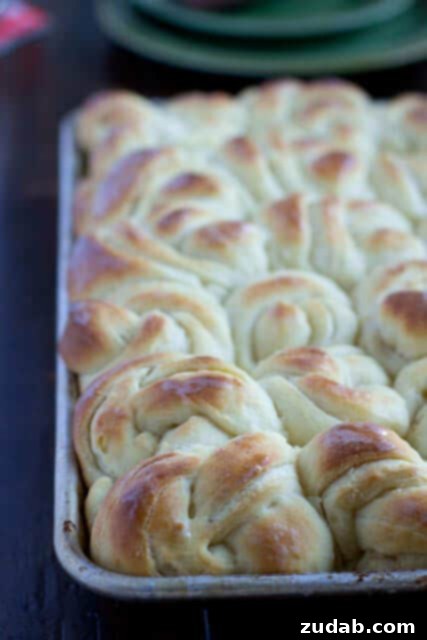 Easy One-Hour Rolls 5 Delicious homemade potato rolls, incredibly soft and flavorful, perfect for any dinner.