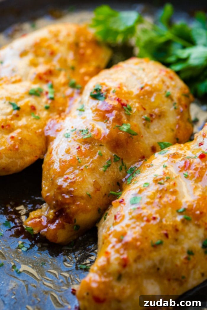 Zesty Italian Chicken 2 Crispy seasoned Baked chicken with an italian dressing marinade
